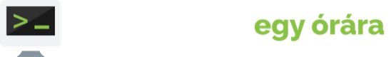 Programozót egy órára